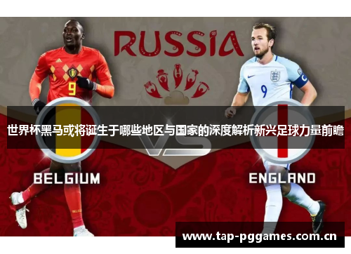 世界杯黑马或将诞生于哪些地区与国家的深度解析新兴足球力量前瞻